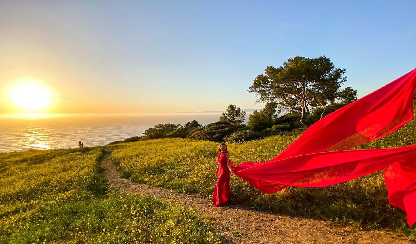 Senorita Photoshoot Dress - Red